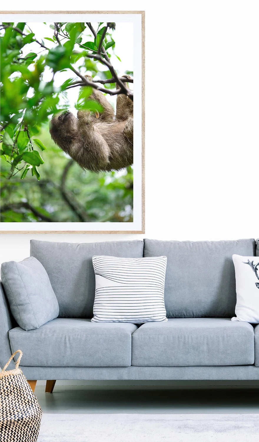 Slothful Harmony