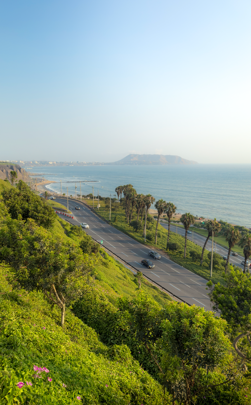 Miraflores View