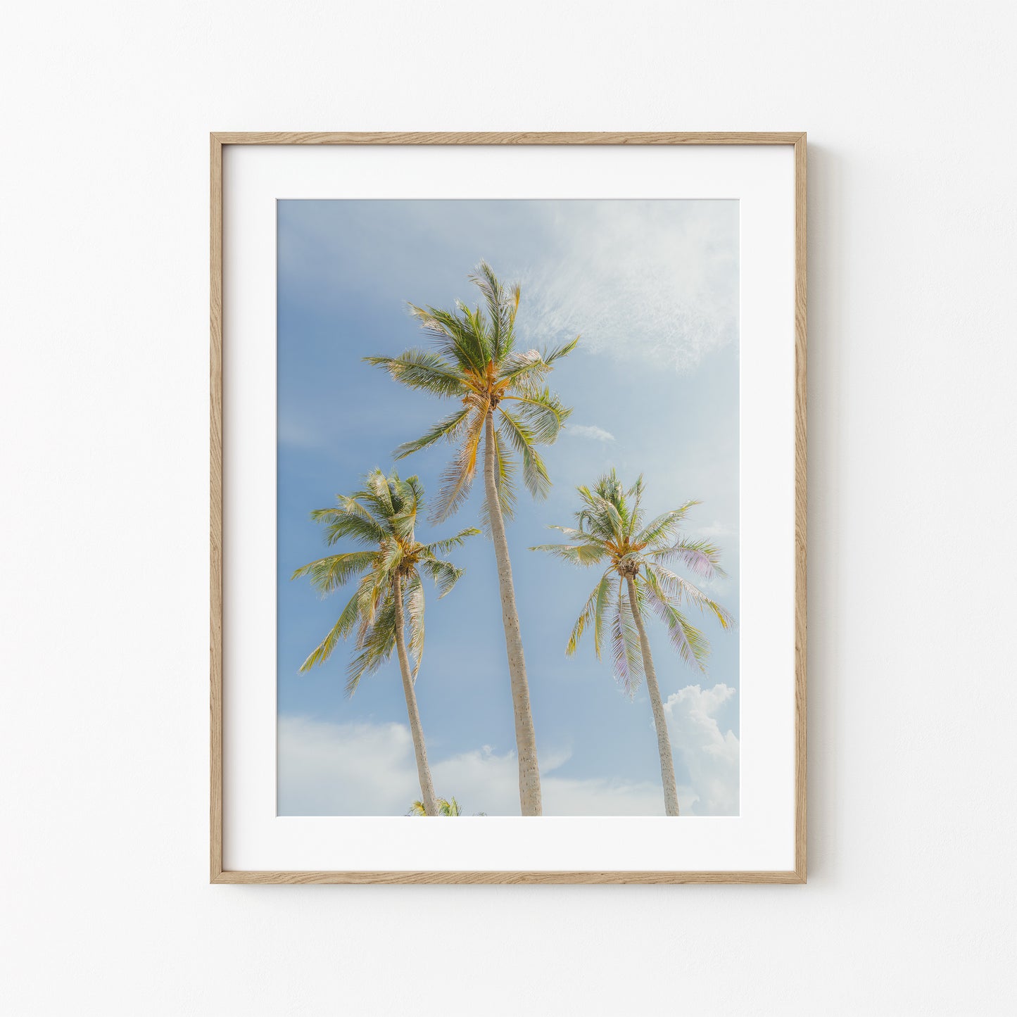 Under the Palms